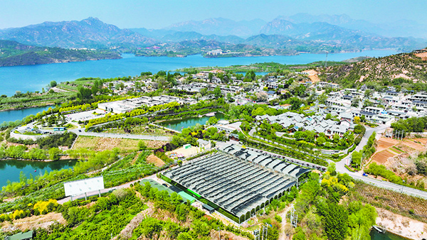 1743572869200537.jpg 图片2.jpg